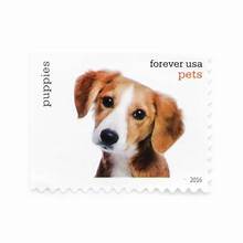 USPS Forever Stamps - Book of 20 PETS