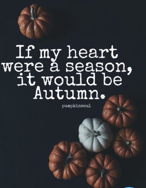 Fall has arrived.....so the date says.