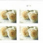USPS WEDDING ROSES FOREVER STAMPS - BOOKS of 20 FOREVER POSTAGE STAMPS
