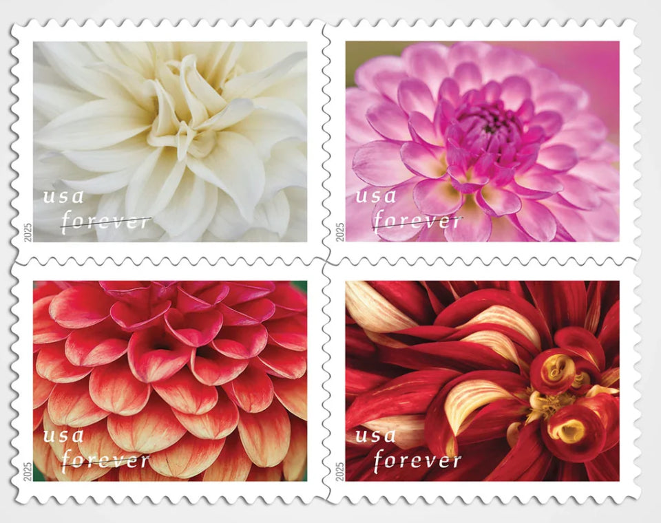 Dahlia USPS Forever Stamps - Book of 20