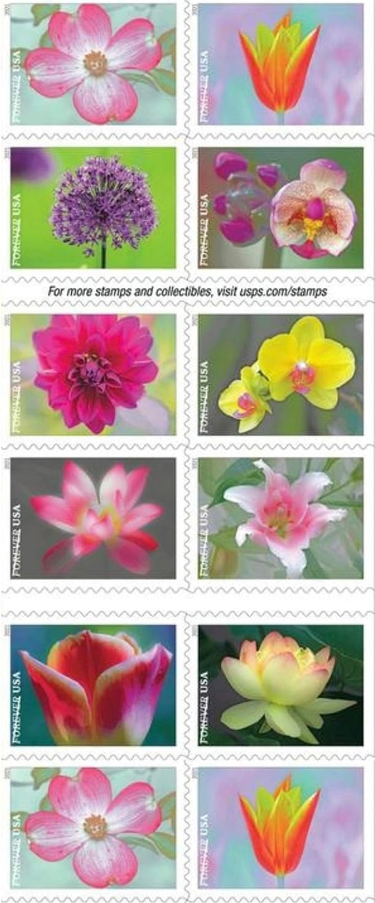 Forever Stamp - Garden Beauty