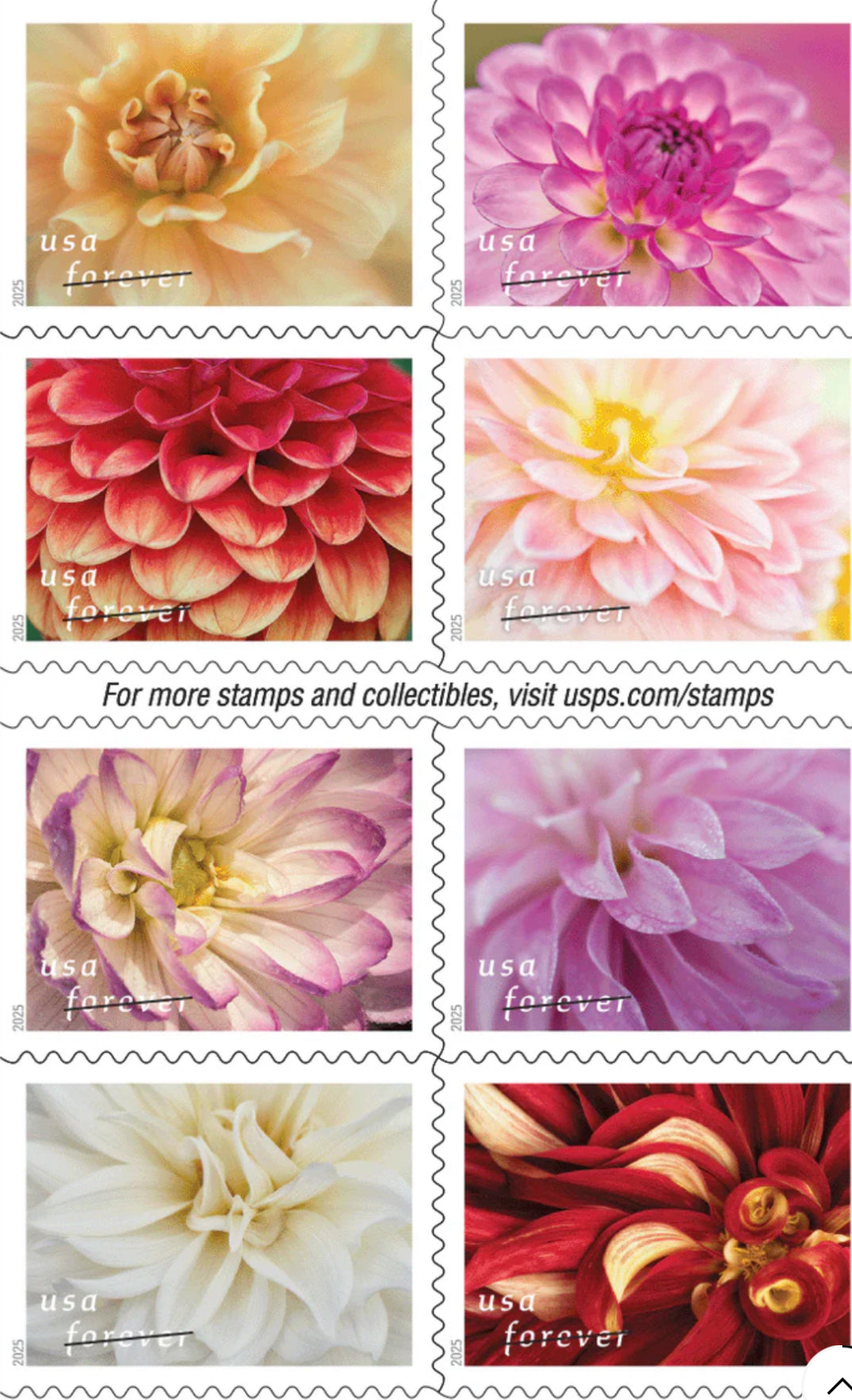 Dahlia USPS Forever Stamps - Book of 20