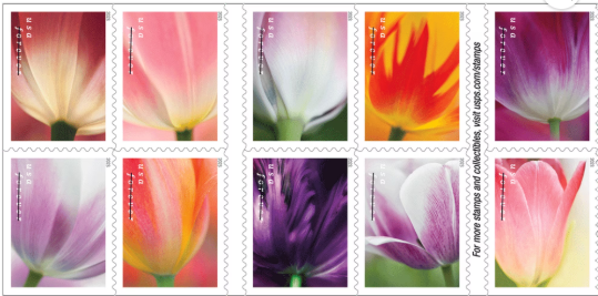 USPS Forever Stamps - Book of 20 - Tulip Blossoms
