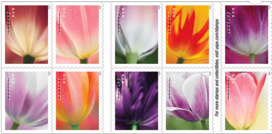 USPS Forever Stamps - Book of 20 - Tulip Blossoms