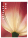 USPS Forever Stamps - Book of 20 - Tulip Blossoms