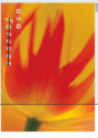 USPS Forever Stamps - Book of 20 - Tulip Blossoms