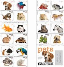 USPS Forever Stamps - Book of 20 PETS