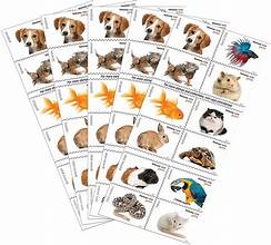 USPS Forever Stamps - Book of 20 PETS